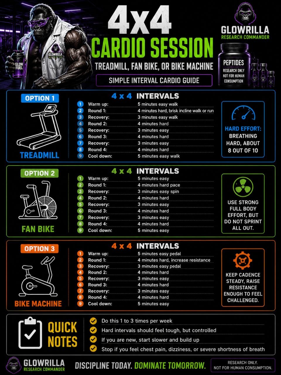 4x4 Cardio Guide