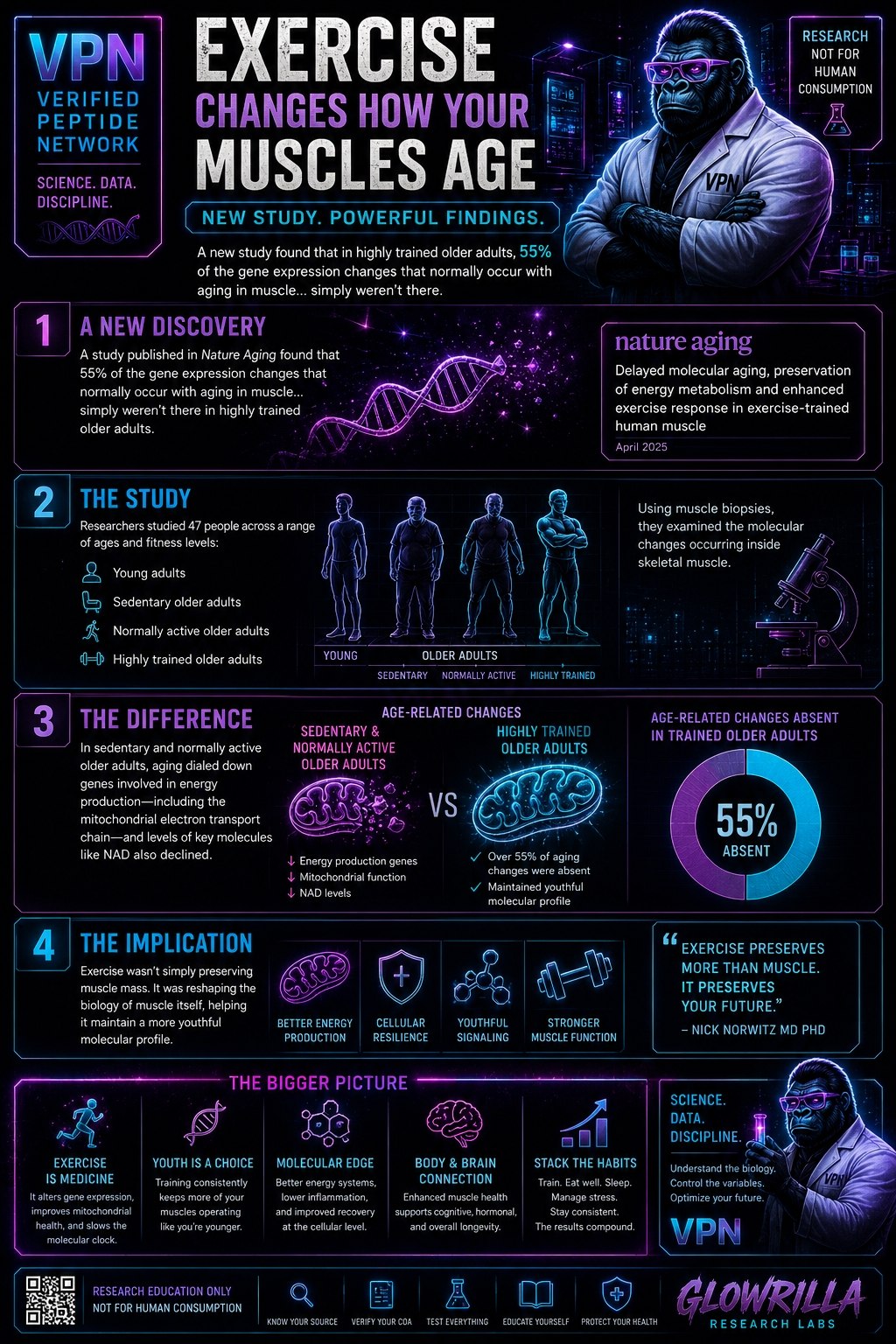 Age and Muscle Guide