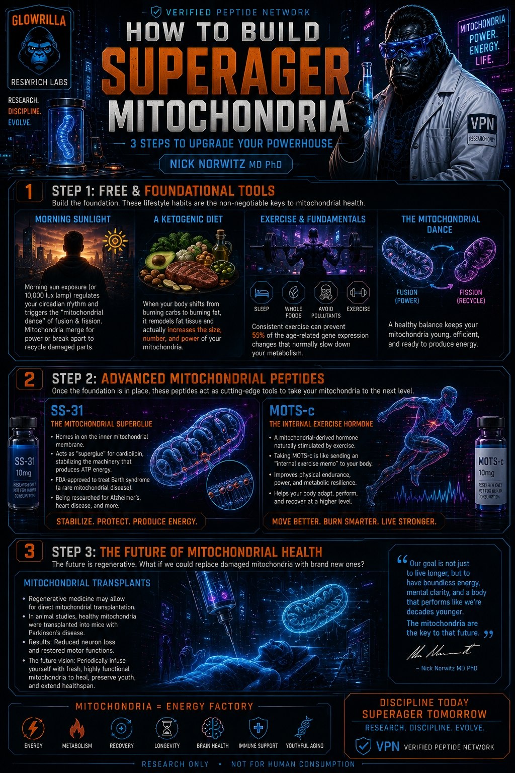 Mitochondria SS-31 / MOTSC Research
